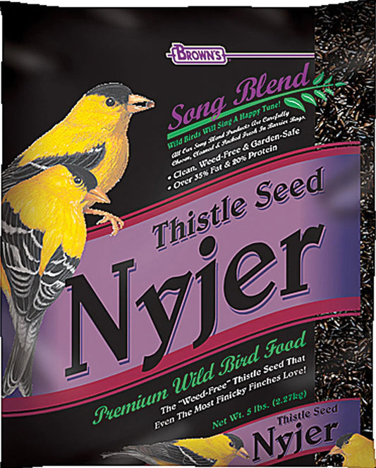 F.M. BrownS Song Blend Nyjer Thistle Seed For Pets 2-Pound
